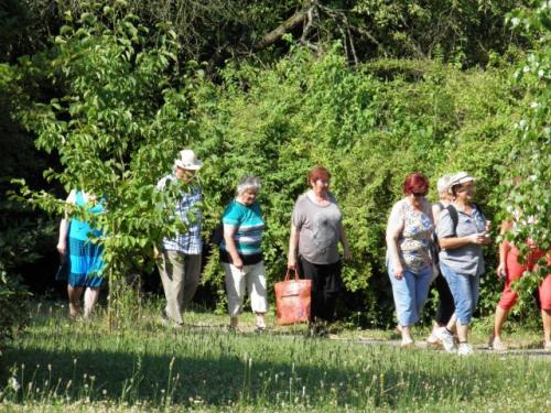 Výlet dôchodcov do Arboréta Mlyňany a Podhájskej